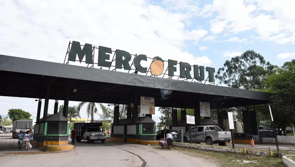 desmentida-presidente-mercofrut-gonzalo-gallego-heras-indico-entre-otros-no-esta-prohibido-ingreso-fleteros-1028838-211552